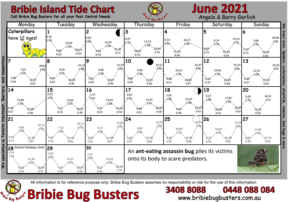 Island Tide Chart
